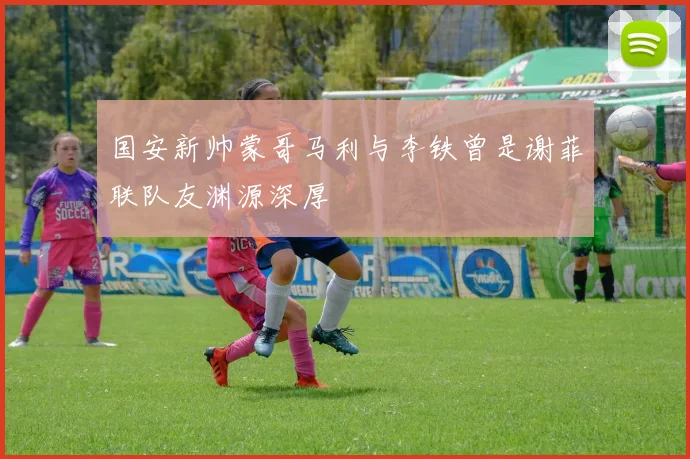 国安新帅蒙哥马利与李铁曾是谢菲联队友渊源深厚