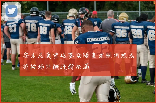 安东尼奥重返赛场随查尔顿训练或将按场计酬迎新机遇