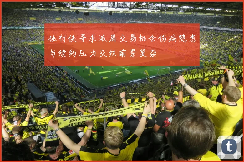 独行侠寻求浓眉交易机会伤病隐患与续约压力交织前景复杂